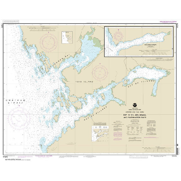 #17370 Bay of Pillars & Rowan Bay Chatham Strait image number 0