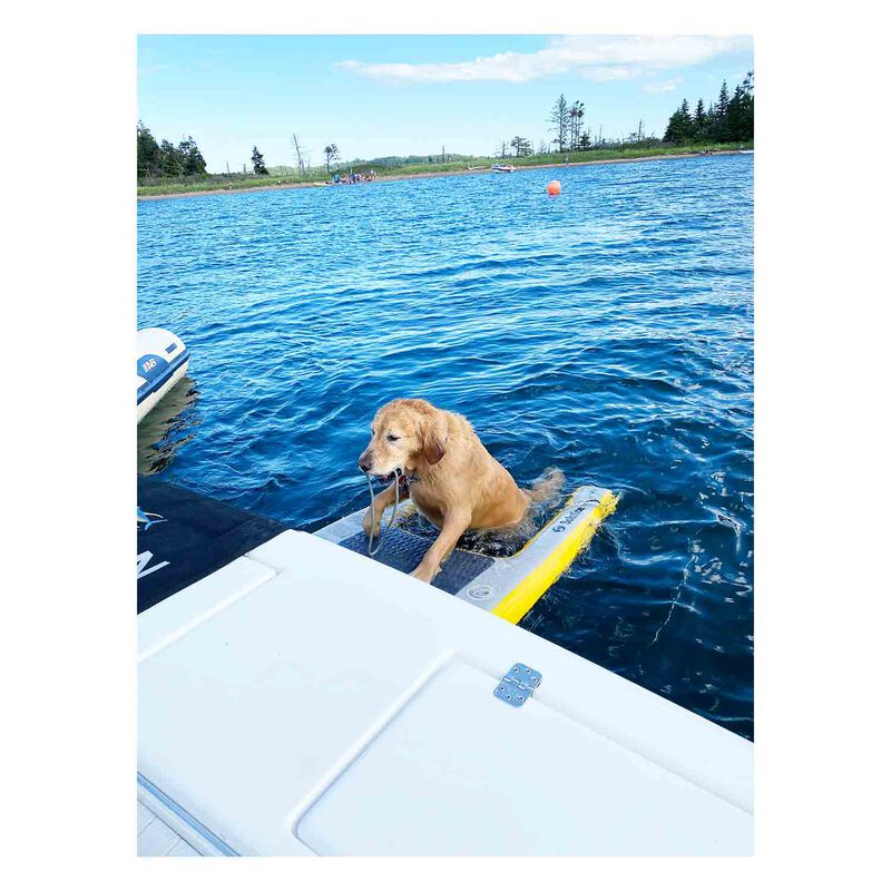 SOLSTICE Solstice Inflatable Pup Plank | West Marine