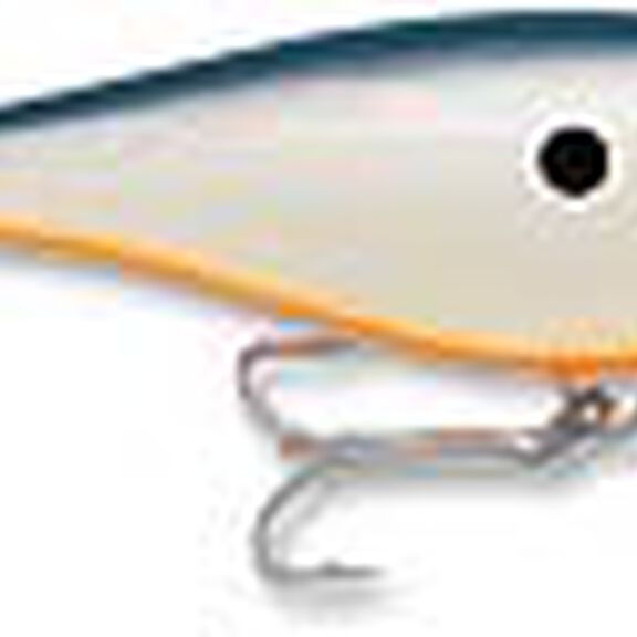 Super Shad Rap 14 image number 7