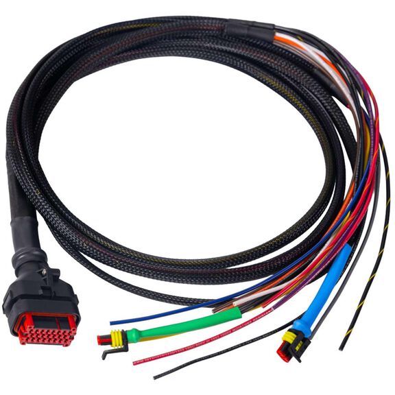 Wakespeed WS500/NH-CAN Negative Wiring Harness with CAN image number 0