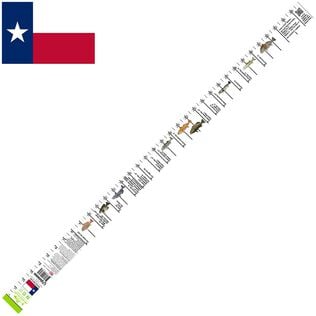 Texas Regulations Ruler