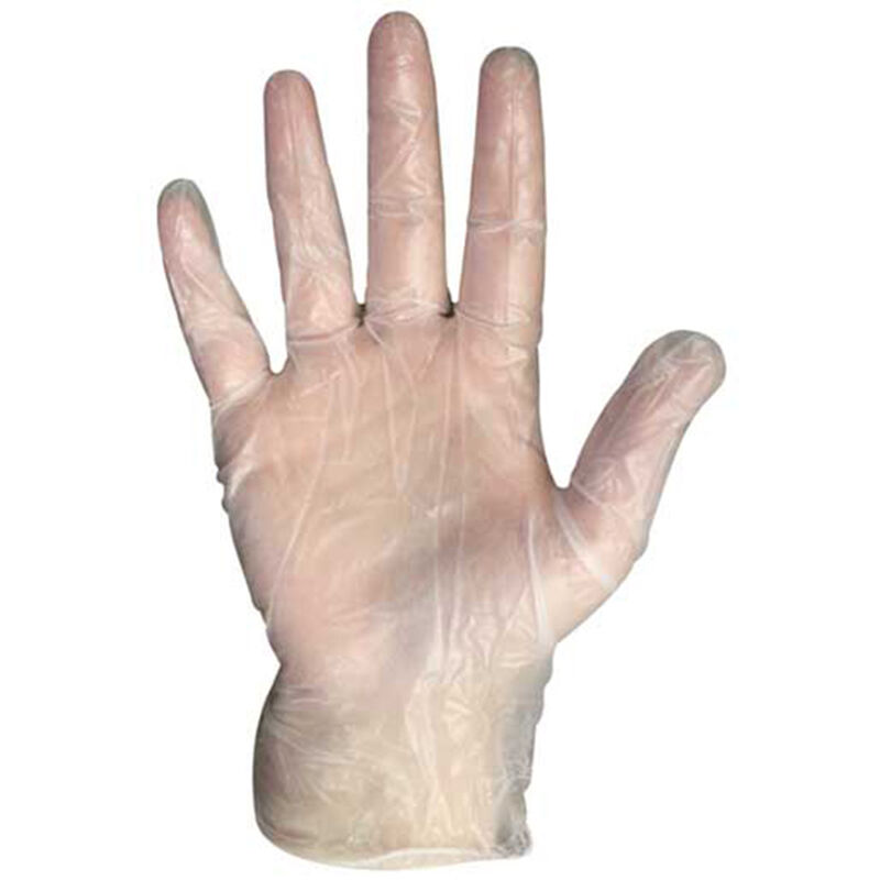 Vinyl Gloves, Not Powdered, Large image number 0