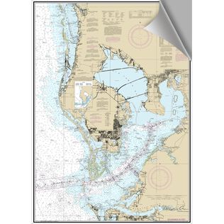 Tampa Bay Decorative Nautical Chart