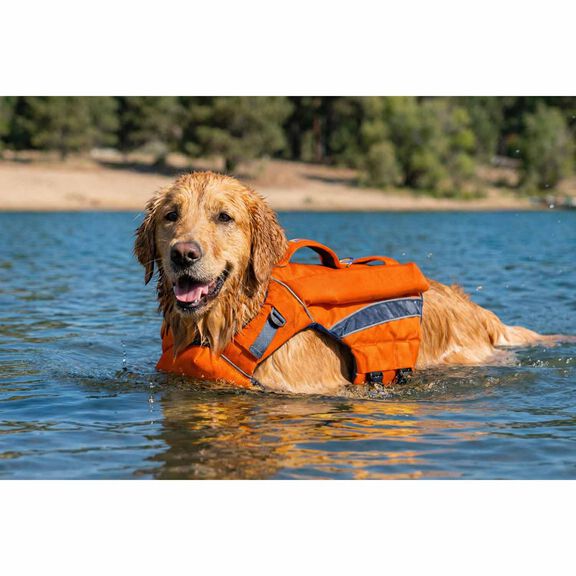 Monterey Bay Offshore Pet Life Jacket, Medium image number 6