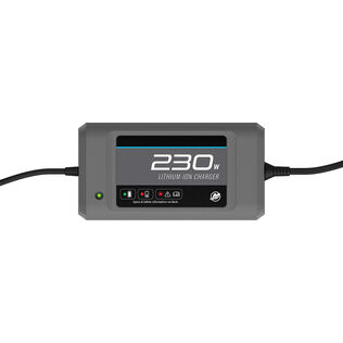 Mercury Avator 230W Battery Charger