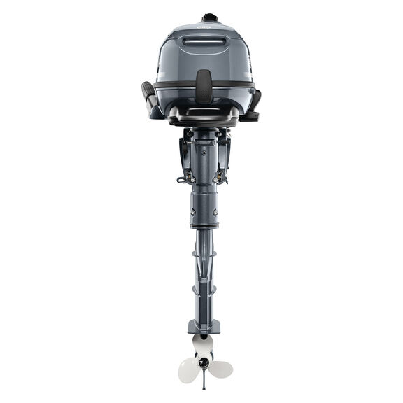 YAMAHA 6 HP Tiller 4-Stroke Outboards image number 2