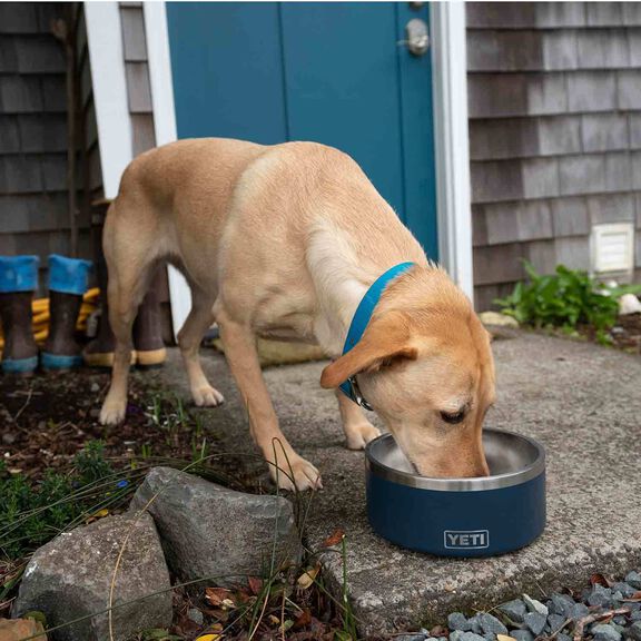 Boomer&trade; 4 Stainless Steel Dog Bowl image number 6