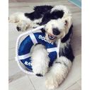 Fetch Ring Dog Toy image number 1