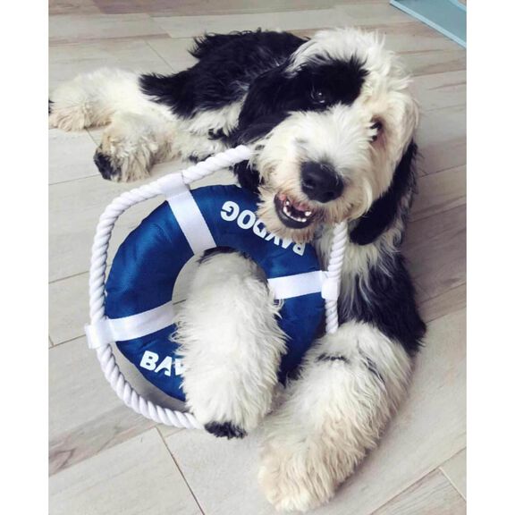 Fetch Ring Dog Toy image number 1