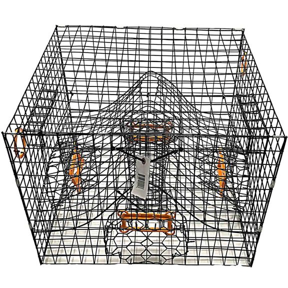 Full Size Maryland Style Crab Trap (Maryland) image number 0