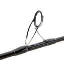 Terez Saltwater Spinning Rods image number 2