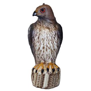 Hawk Decoy