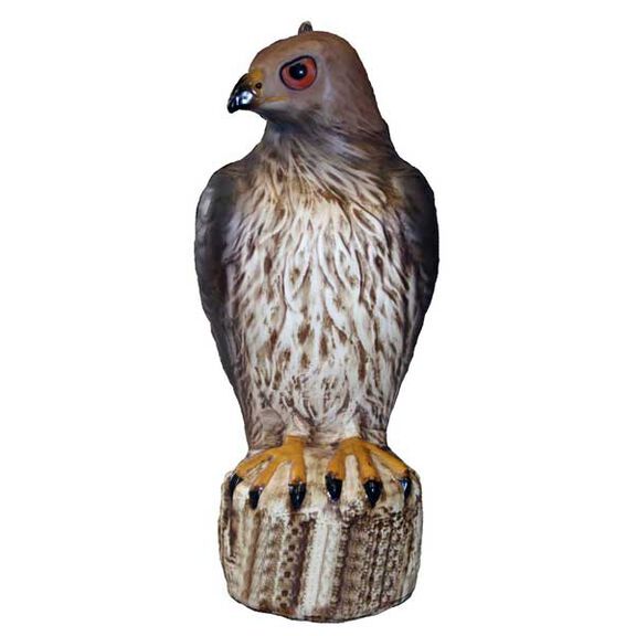 Hawk Decoy image number 0