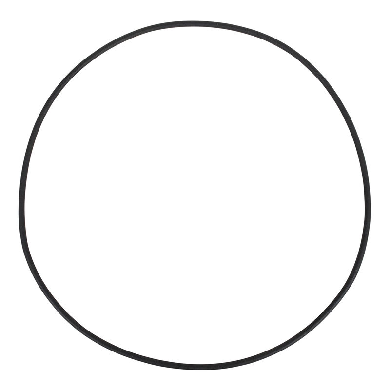 Replacement Gasket for 4" Screw-In Deck Plate | by West Marine