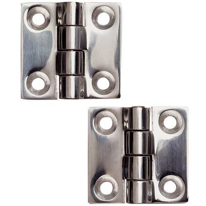 Heavy Duty Stainless Steel Hinges