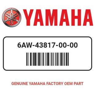 Yamaha 6AW-43817-00-00 Filter 2