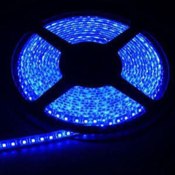 Imtra LED Strip Tape, 24V, Blue, Standard Output, 20 ft image number 0