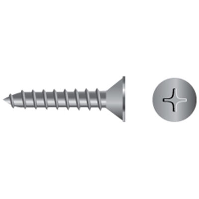 BP Stainless Steel Phillips Flat-Head Tapping Screws