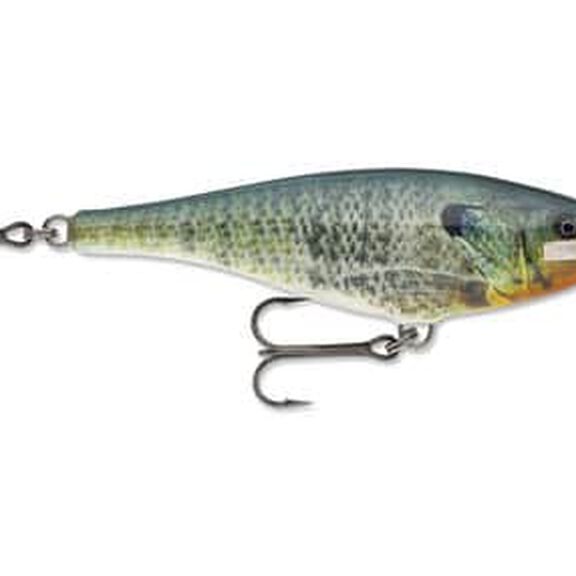 Super Shad Rap 14 image number 16
