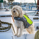 AquaPro Pet Life Jacket, X-Small image number 4