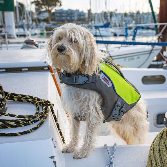 AquaPro Pet Life Jacket, X-Small image number 4