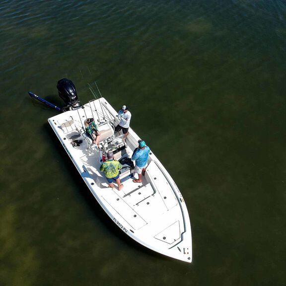 10'  Blade Shallow Water Anchor image number 6
