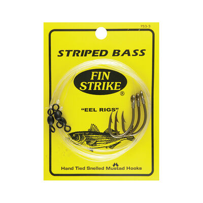 Striped Bass Rigs
