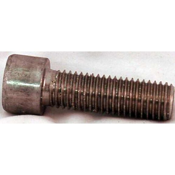 Side-Power Bolt, M10 x 30, SS, to mount motor to bracket | used on SE210, SE250, SE300 image number 0
