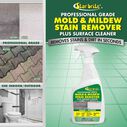 Professional Grade Mold & Mildew Stain Remover, 32 oz. image number 1
