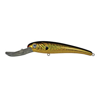 Textured Stretch&trade; 25+ Fishing Lure, 8"