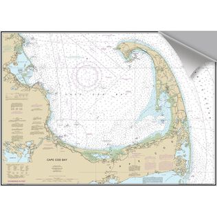 Cape Cod Bay Decorative Nautical Chart