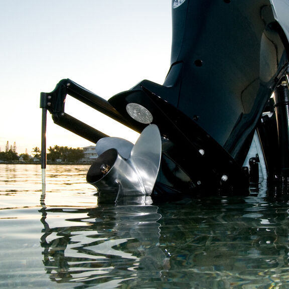 Professional Series II Anchor, 6', Black image number 3