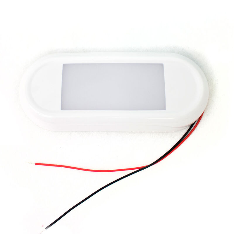 MARINE SPORT LIGHTING Oval 12W LED Interior Light, Vehicle Switch