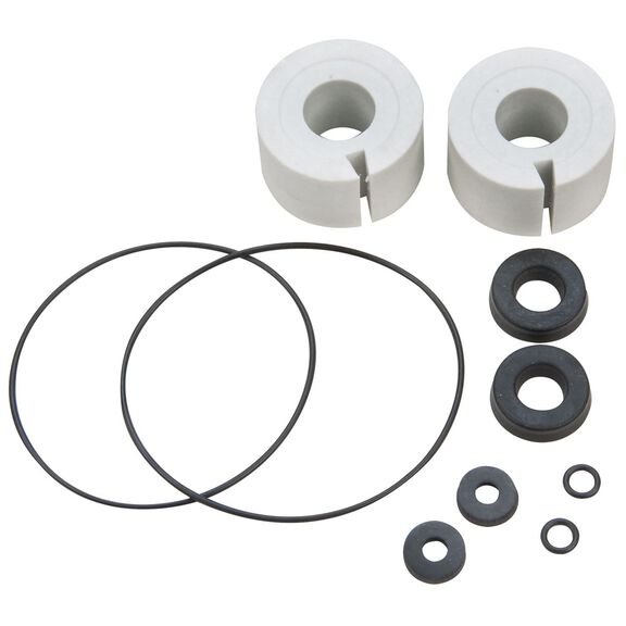 P-9000 Paragon Pump Repair Kit image number 0