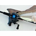 Chronarch G 150HGG Baitcasting Reel image number 1