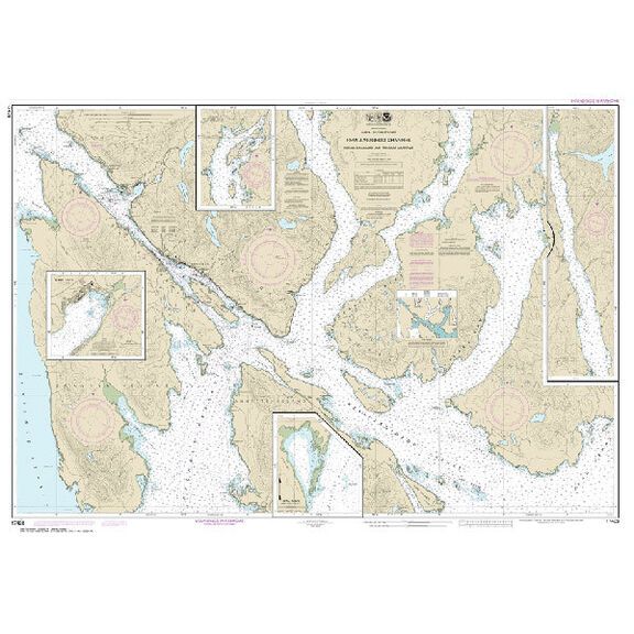 #17428 Revillagigedo Channel Nichols Passage image number 0
