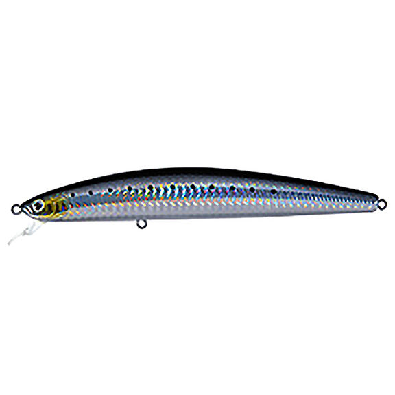 Salt Pro Minnow Fishing Lure, 6" image number 0
