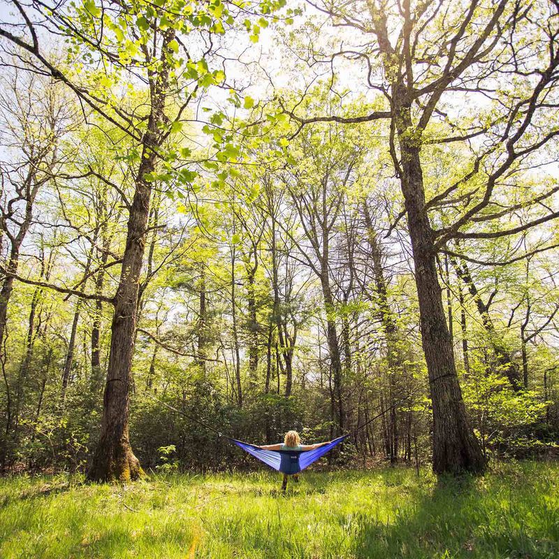 ENO HAMMOCKS Atlas XL Hammock Suspension System West Marine