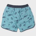 Men's Whiskey Wahoo Volley Shorts image number 1
