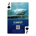 Shark Marine Life Playing/Tracking Cards, 1st Edition image number 2