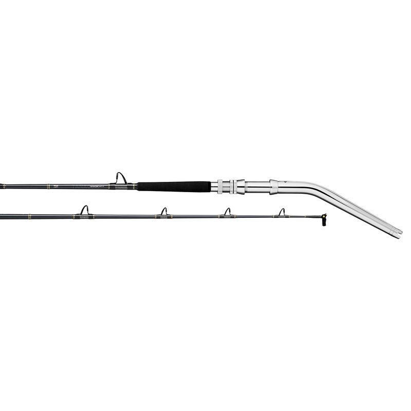DAIWA 6'6 Tanacom® Dendoh Style Deep Drop Conventional Rod, Medium Heavy  Power