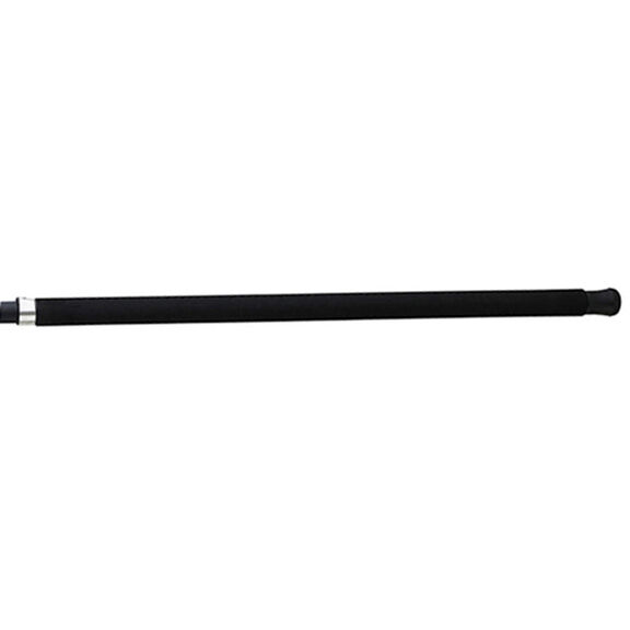 10' Beefstick Surf Spinning Rod, Medium/Heavy Power image number 1