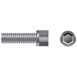 Stainless Steel Metric Cap Screws