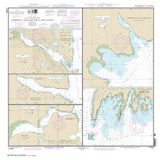 #17336 Chatham Strait Gut Bay