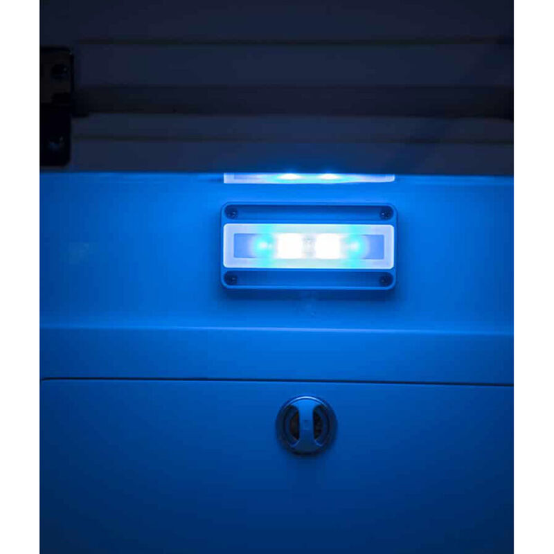 Lumitec Nevis Legacy Surface Mount Engine Room Light main image 0