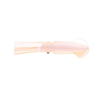 Rock Cod Squid Rig