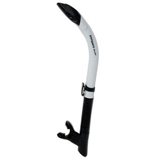 Pompano Splash Snorkel
