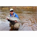 8'6" Triumph Salmon & Steelhead Spinning Rod, Medium Power image number 4