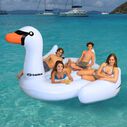 The Biggest Giant Swan image number 2
