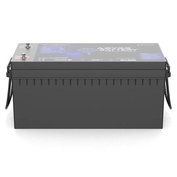 12V 350Ah Dual Purpose Group 8D Lithium Marine House Battery, Bluetooth Enabled image number 2